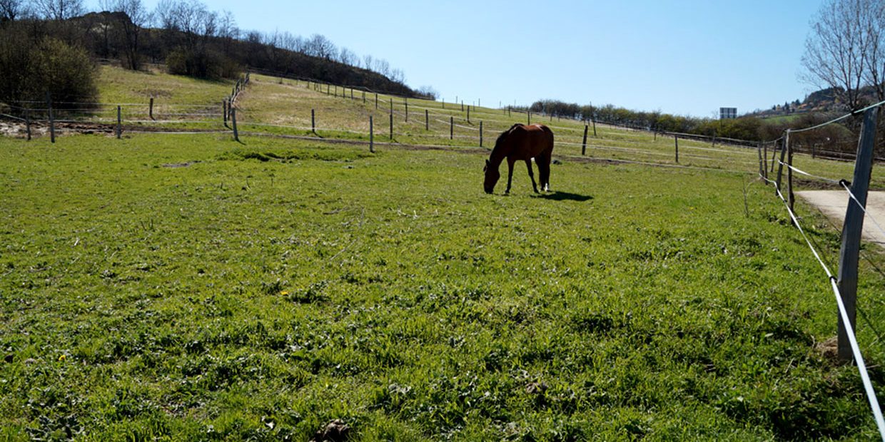 Écurie de La Jonchère